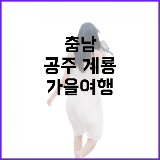 충남 공주·계룡 가을 여행 완벽 가이드