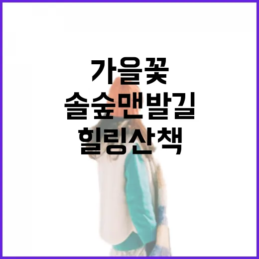 가을꽃과 솔숲 맨발길의 힐링 산책