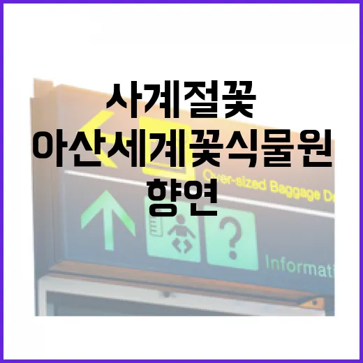 아산 세계꽃식물원, 사계절 꽃과 자연의 향연