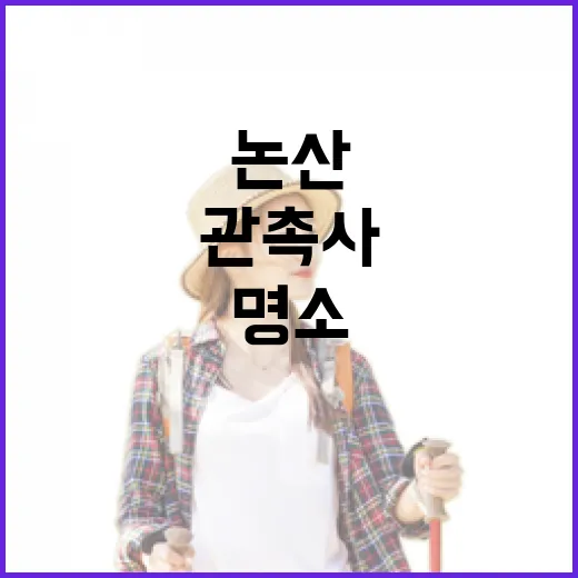 논산 관촉사 꽃무릇 명소 집중 탐방