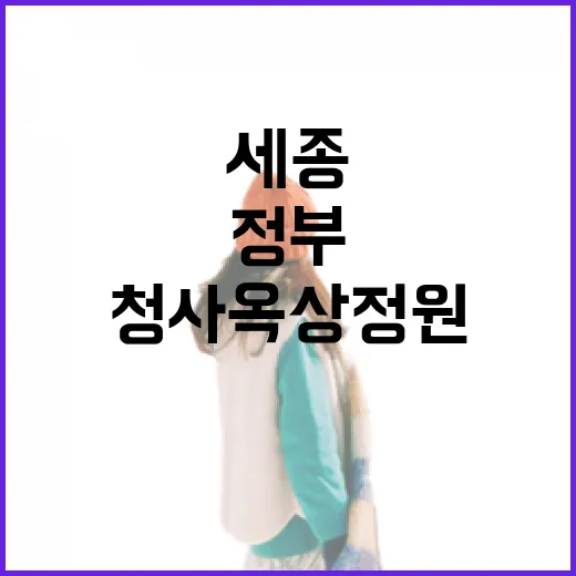세종정부청사 옥상정원 가을소풍 명소
