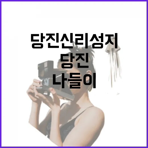 당진 신리성지 가을 나들이 명소