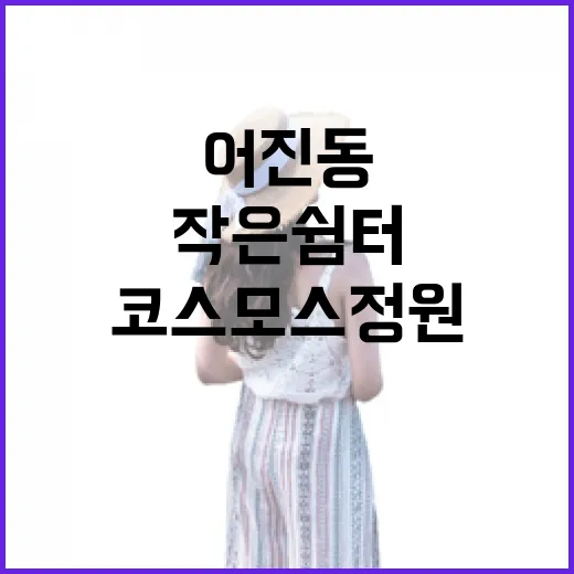 어진동 코스모스 정원, 가을의 작은 쉼터