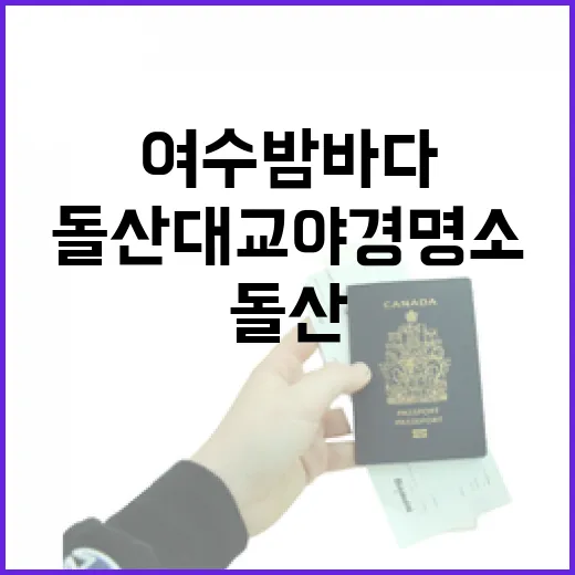 여수 밤바다의 진수, 돌산대교 야경 명소