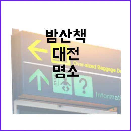 대전 용전근린공원, 밤 산책 명소