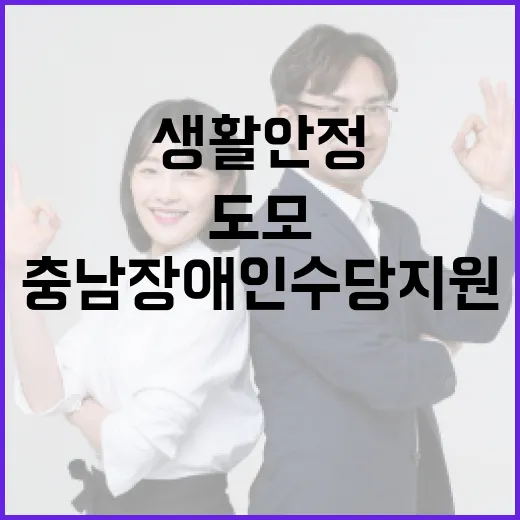 충남 장애인 수당 지원으로 생활 안정 도모
