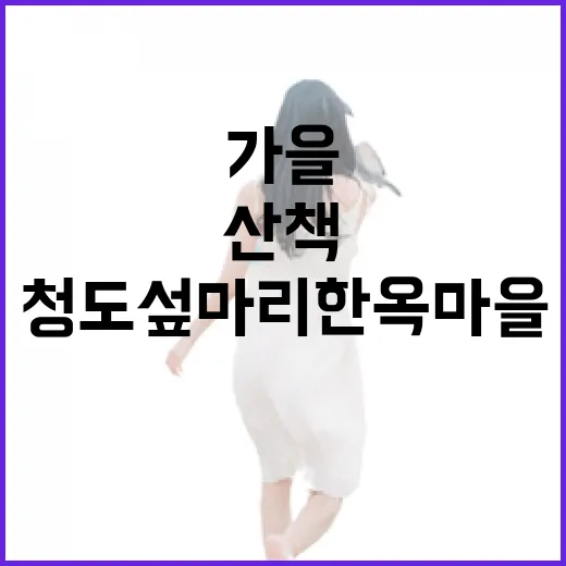 가을 산책 명소 청도 섶마리한옥마을