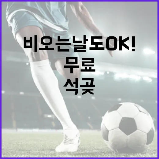 비 오는 날도 OK! 인천 석곶·신석체육공원 무료 체육시설