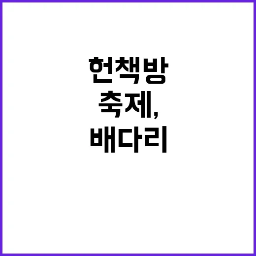 배다리 헌책방거리 가을 축제, 책과 음악의 만남