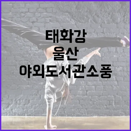 가을밤 울산 태화강 야외도서관 소풍