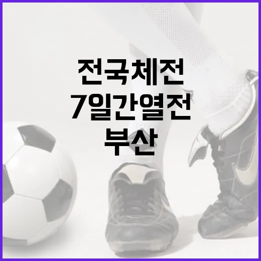 부산 전국체전 7일간 열전 시작