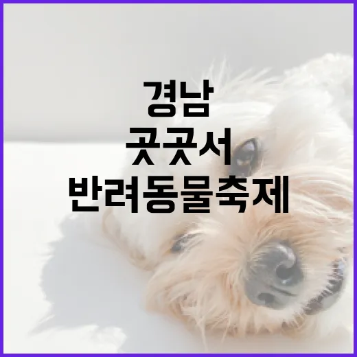 가을 반려동물 축제, 경남 곳곳서 열린다