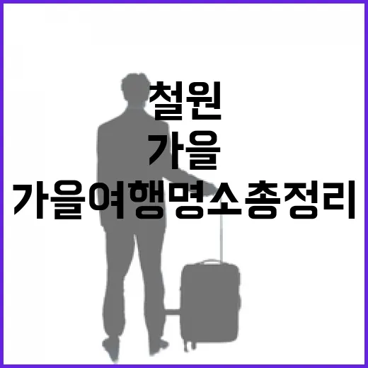 철원 가을 여행 명소 총정리