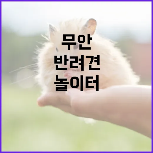 무안으로오개, 반려견 천국 놀이터