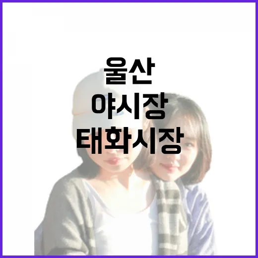 울산 태화시장 별별구이 야시장 가을밤 풍경