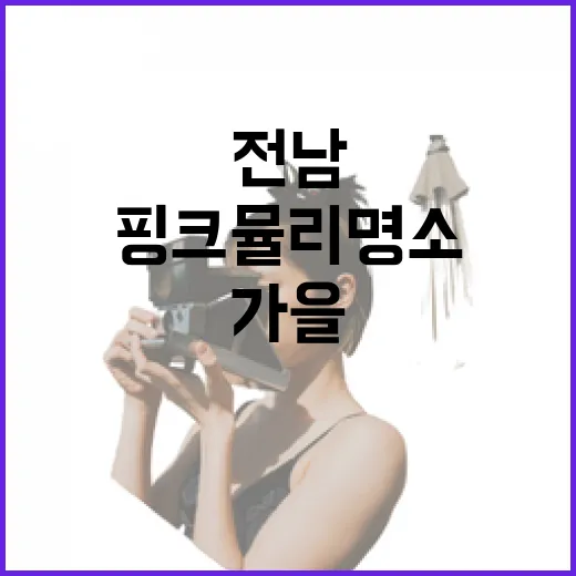 전남 가을, 핑크뮬리 명소 총정리