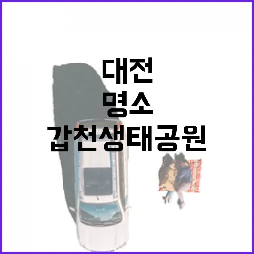 대전 갑천생태공원, 가을밤 산책 명소