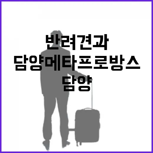 반려견과 걷는 담양 메타프로방스 산책길