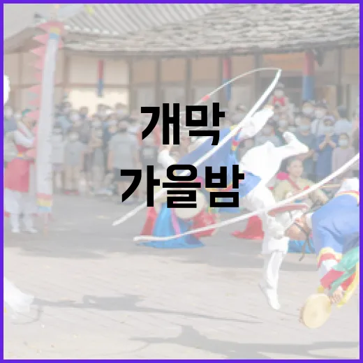 송도 가을밤 빛과 예술 축제 개막