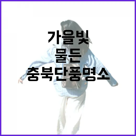 충북 단풍 명소 7선, 가을빛 물든 명품 산책길