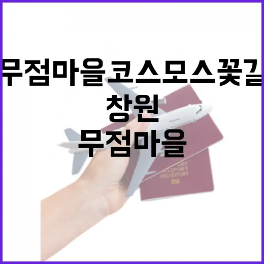 창원 무점마을 코스모스 꽃길 산책