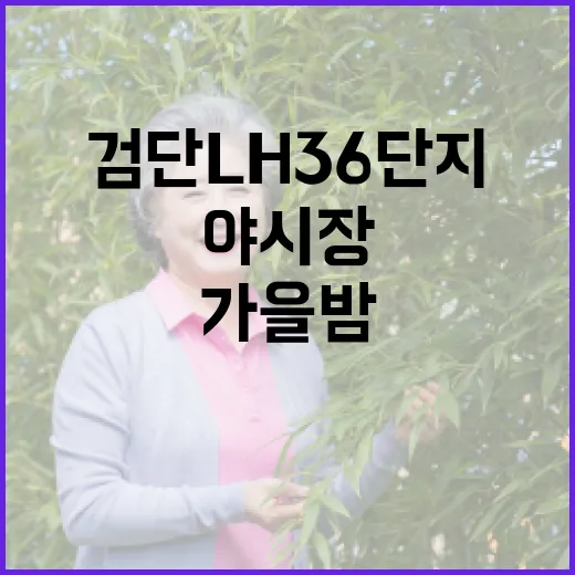 검단LH36단지 가을밤 야시장 힐링 산책