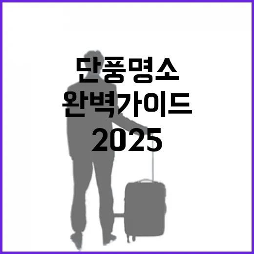 2025 부산 단풍 명소 완벽 가이드