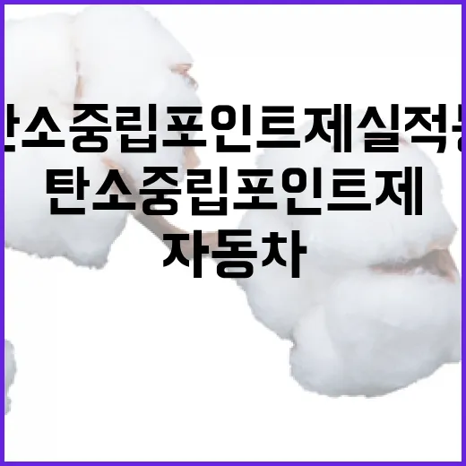 자동차 탄소중립포인트제 실적 등록 안내