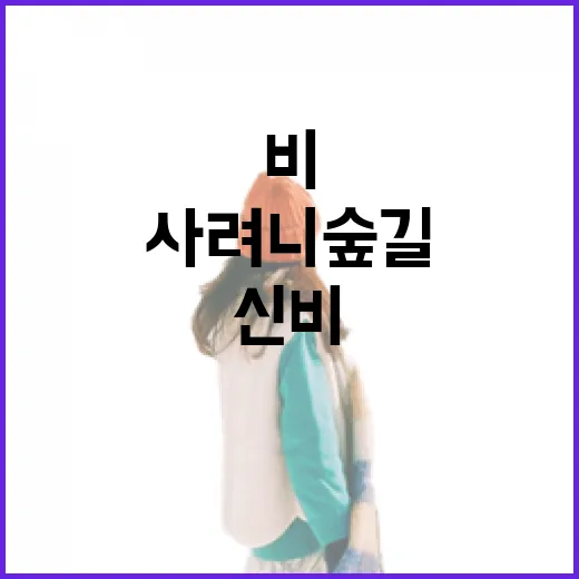 비 내리는 사려니숲길의 신비