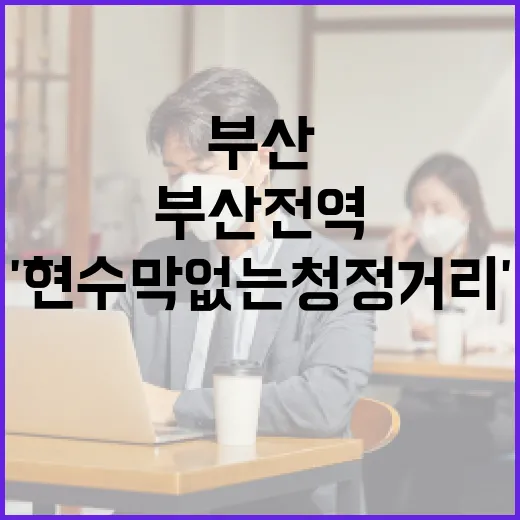 부산 전역 '현수막 없는 청정거리' 확대 지정