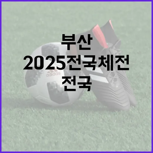 부산서 펼쳐지는 2025 전국체전과 장애인체전