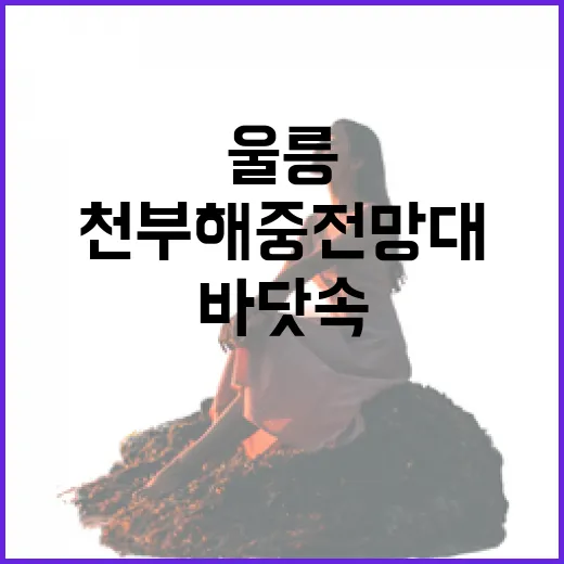 울릉 천부해중전망대, 바닷속 특별한 풍경