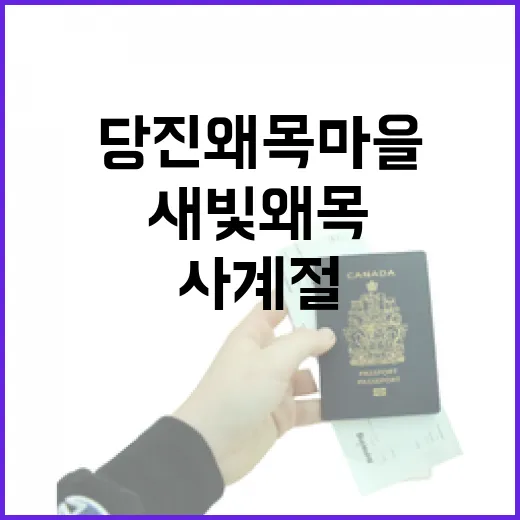 당진 왜목마을 새빛왜목, 사계절 빛나는 명소