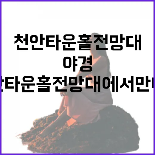 천안 타운홀 전망대에서 만나는 환상 야경