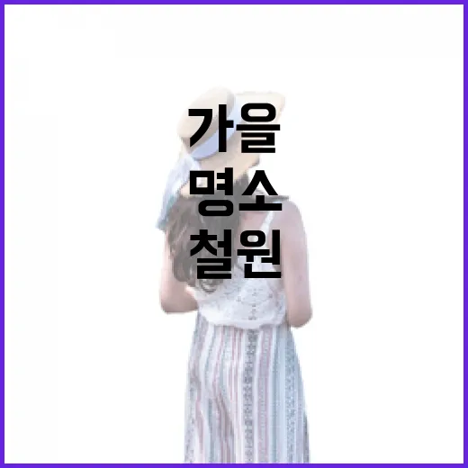 철원 가을 맛집&카페 명소