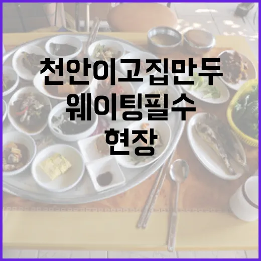 천안 이고집만두, 현장 웨이팅 필수 인기 명소