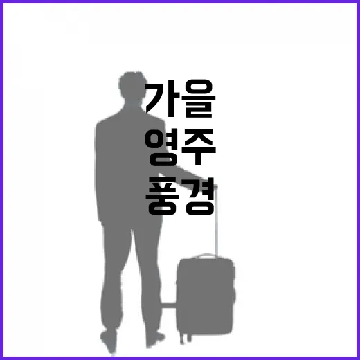 영주 가을 풍경, 용마루2공원 산책기