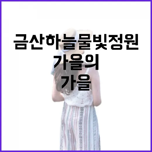 금산 하늘물빛정원 가을의 정취