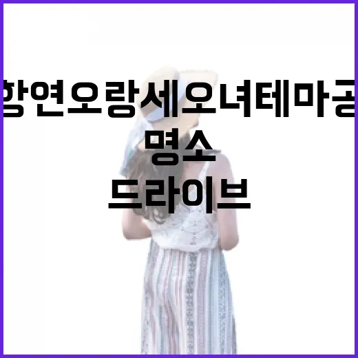 포항 연오랑세오녀테마공원 드라이브 명소