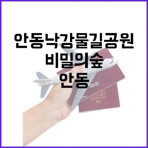 안동 낙강물길공원, 비밀의 숲 속 힐링 산책