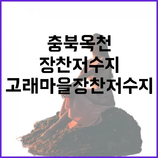 충북 옥천 고래마을 장찬저수지 힐링 명소
