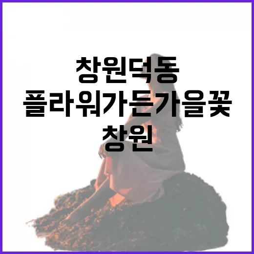 창원 덕동 플라워가든 가을꽃 명소