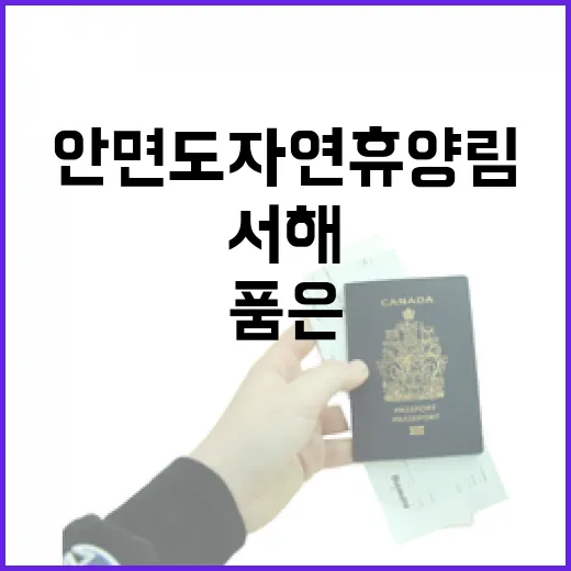 서해 품은 안면도자연휴양림 힐링 명소