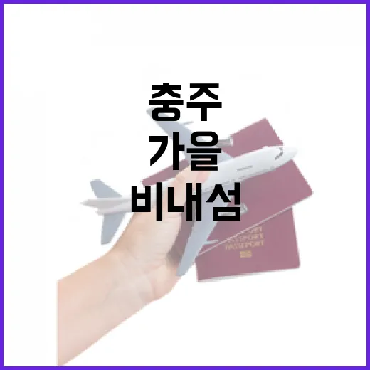 충주 비내섬에서 만끽하는 가을 생태 축제