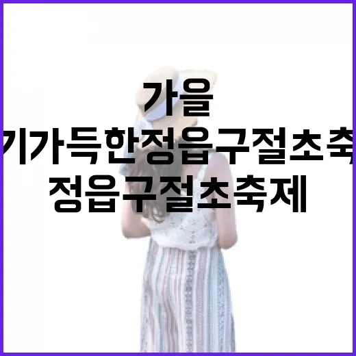 가을 향기 가득한 정읍 구절초 축제