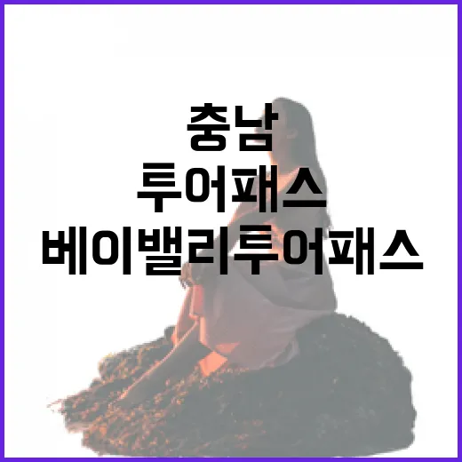충남 베이밸리 투어…