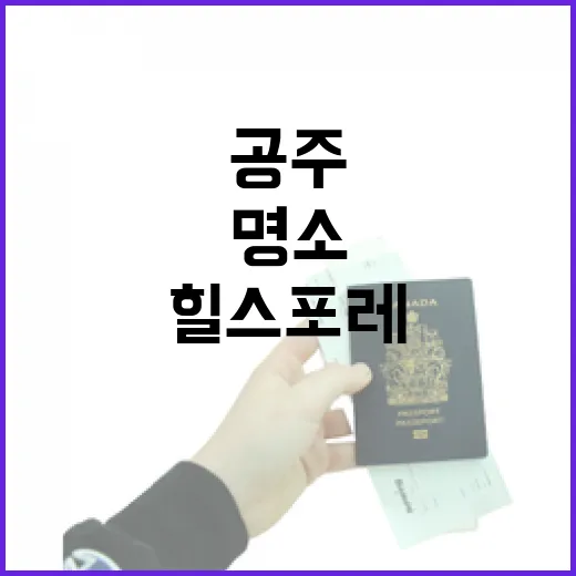 공주 힐스포레, 야경과 힐링의 명소