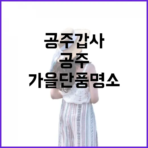 공주 갑사 가을 단풍 명소 탐방