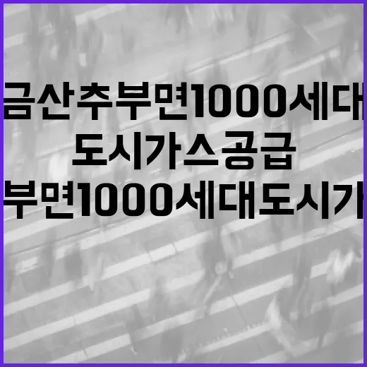 금산 추부면 1000세대 도시가스 공급 확정
