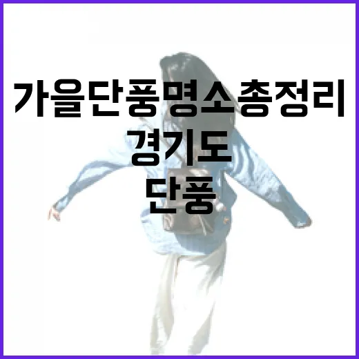 경기도 가을 단풍 명소 총정리